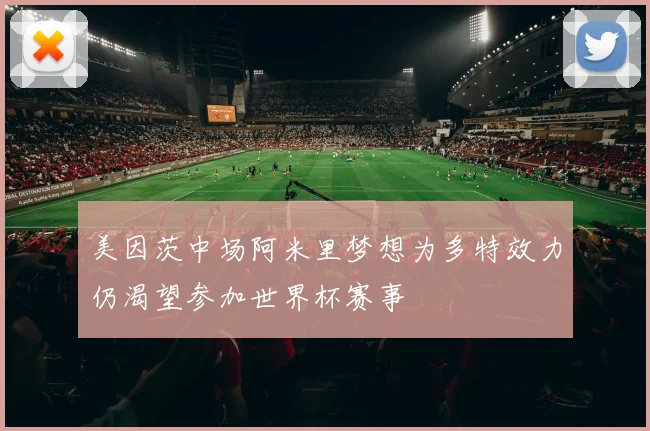 美因茨中场阿米里梦想为多特效力仍渴望参加世界杯赛事