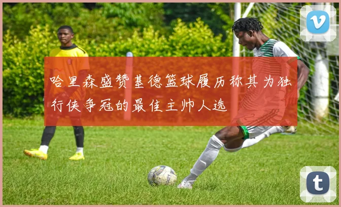 哈里森盛赞基德篮球履历称其为独行侠争冠的最佳主帅人选