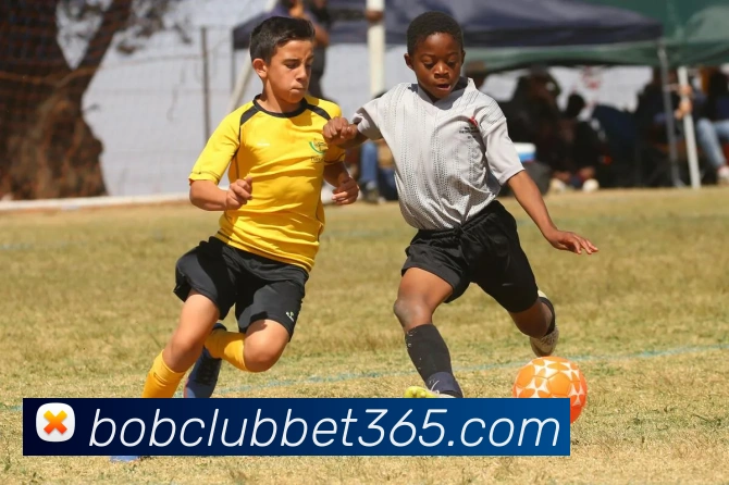 App Interface Preview