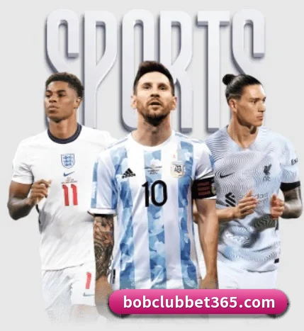 五大服务分区,信息按项目分类 - bob